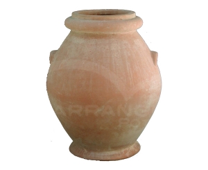 Orcio Liscio